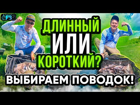 Видео: ДЛИННЫЙ или КОРОТКИЙ ПОВОДОК? Что эффективнее при ловле на фидер?