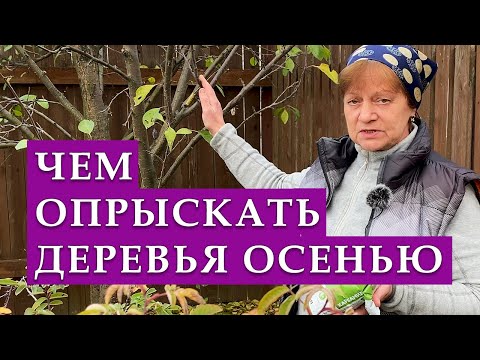 Видео: Подготовка деревьев и кустарников к зиме. Чем провожу обработку.