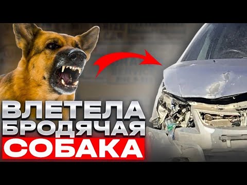 Видео: Toyota Spacio бампер в хлам.