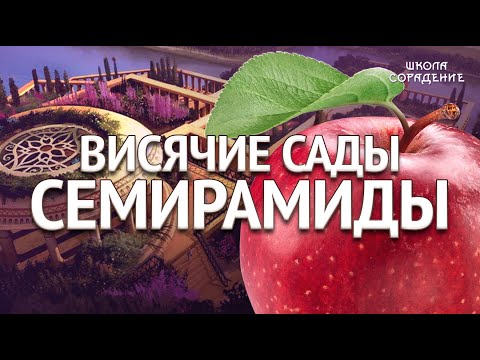 Видео: Висячие сады Семирамиды #яблоки #висячие_сады_семирамиды #Гарат #школасорадение