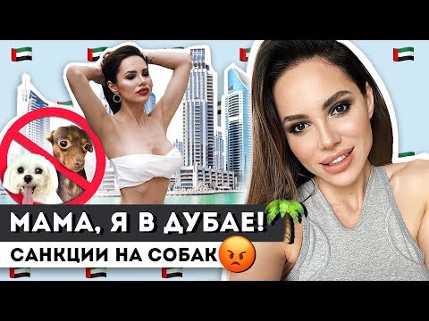 Видео: ВСЕ ЧТО НУЖНО УВИДЕТЬ В ЭМИРАТАХ!)) ОТВЕТ БЫВШЕМУ МУЖУ!