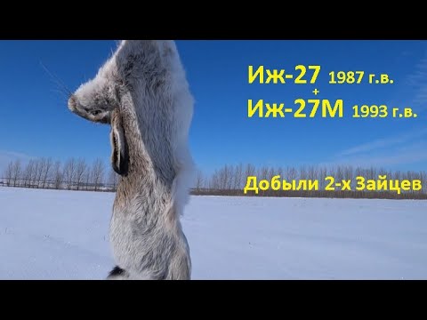 Видео: иж 27 СССР охота на зайца с отцом 2021 Дробь №3, 0, 00