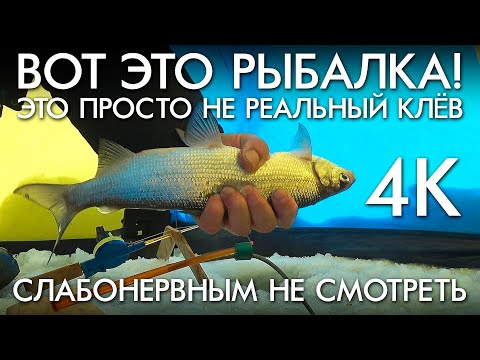 Видео: ВОТ ЭТО РЫБАЛКА / ЭТО ПРОСТО НЕ РЕАЛЬНЫЙ КЛЕВ / СЛАБОНЕРВНЫМ НЕ СМОТРЕТЬ
