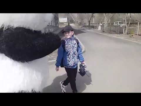 Видео: С днём рождения поздравляем счастья, радости желаем поздравления от сестры и родителей.