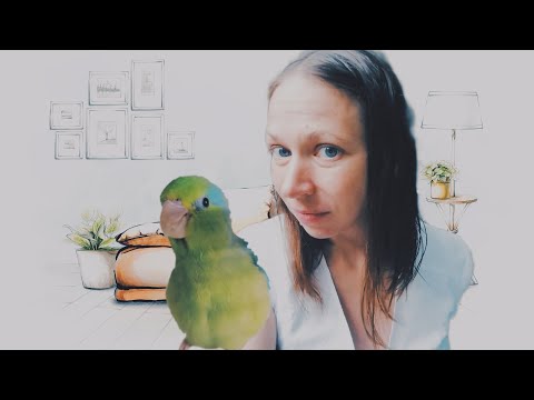 Видео: Минусы содержания воробьиных попугаев