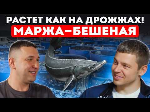 Видео: +20% к капиталу ЕЖЕМЕСЯЧНО! Честный обзор на УЗВ-ферму в Кирове: сколько вложили и когда окупится?