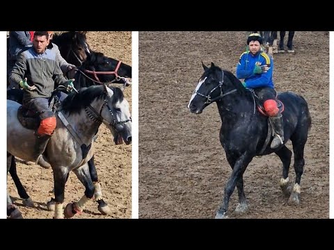 Видео: Бузкаши дар ш Хисор 15 02 2025