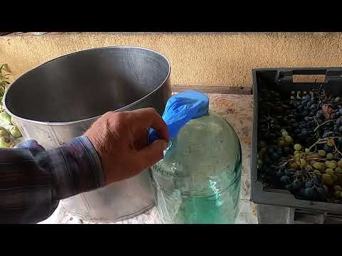 Видео: Виготовлення виноградного вина  в домашніх умовах.