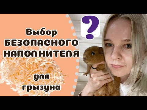 Видео: Подстилка в клетку для ГРЫЗУНА? Какой лучше выбрать и почему.