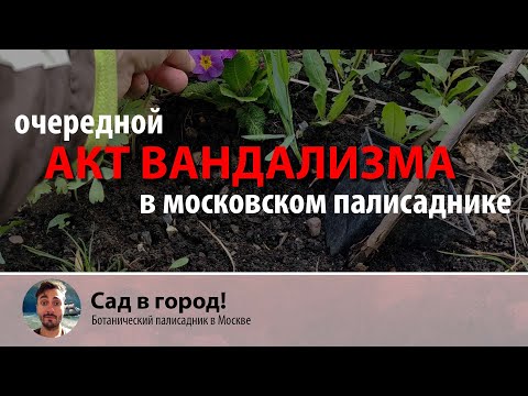 Видео: Очередной акт вандализма в московском палисаднике "Сад в город!"