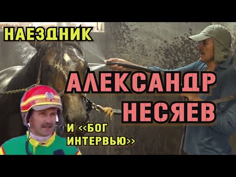 Видео: Александр Несяев о бегах, ипподроме, тотализаторе и какой-то тактике. Как стать богом интервью? |ИЛ