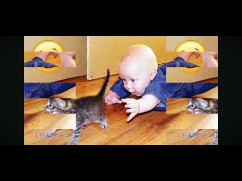 Видео: Нарезка приколов с животными и детьми. #юмор #приколы #прикол #ржач #ржака #анекдот #анекдоты #юмор