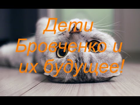 Видео: Бровченко и будущее их детей..