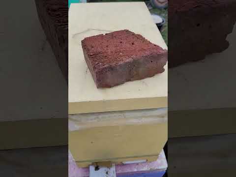 Видео: Состояние на 6 февраля безрасплодных однорамочных отводков.И продажа кормушек.