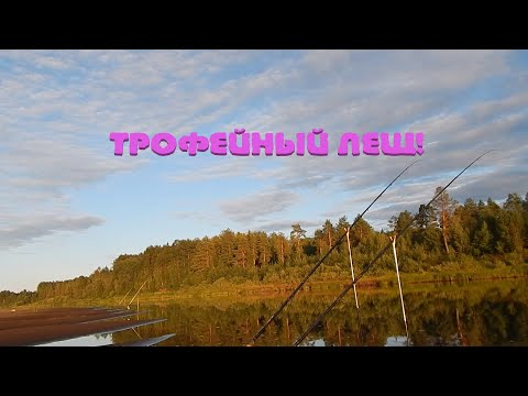 Видео: Трофейный ЛЕЩ! Рыбалка на фидер с ночёвкой.