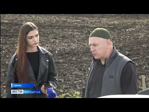 Видео: Закладка демонстрационного участка