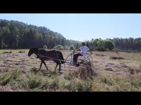 Видео: Гребём