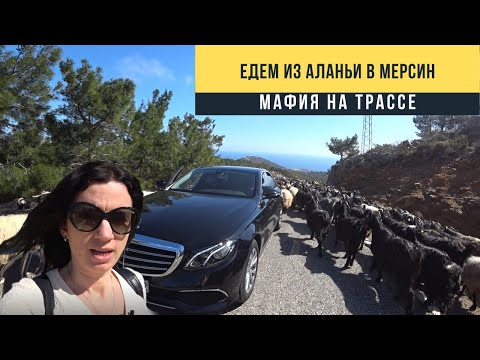 Видео: Едем из Аланьи в Мерсин. Мафия на трассе. Турция 2020