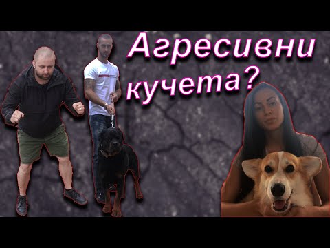 Видео: Какво да правим ако ни нападне куче? Как да се защитим? /самозащита, уличен бой, Old School Fitness