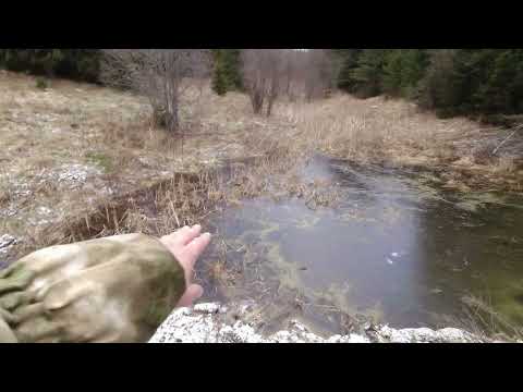 Видео: Новый проект. Делаем ещё один пруд.