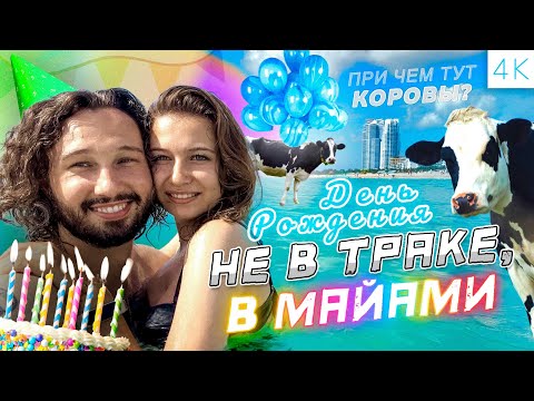 Видео: Как путешествовать БЕСПЛАТНО: Майами, коровы, день рождения