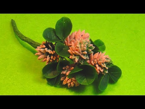 Видео: РЕАЛИСТИЧНЫЙ КЛЕВЕР из полимерной глины. Уроки для начинающих!!!  Цветы из полимерной глины