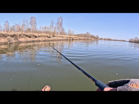 Видео: ВЕСЕННЯЯ ЛОВЛЯ СУДАКА. НА СПИННИНГ. УСПЕЛИ НА НОВОЙ ЛОДКЕ до запрета