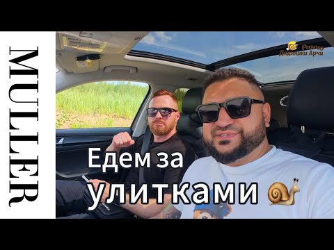 Видео: Едем за улитками Мюллер! 🐌 Приключение, ферма мечты и секреты бизнеса!