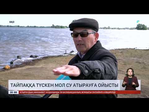 Видео: Тайпаққа түскен мол су Атырауға ойысты