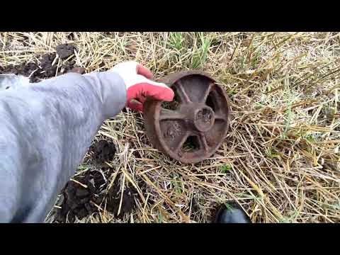 Видео: TIANXUN TX-850 находки на китайский металлоискатель. Одна медная монета за два часа