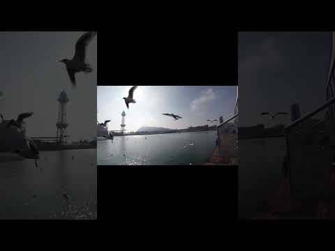 Видео: «Просто вспомни меня» (муз.С.Позняк,сл.Н.Ладыгина,обр.Н.Фоминых)исп.Никита Фоминых