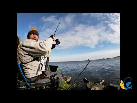 Видео: 🐟Осінній хід плотви на Дніпрі🎣 Фідер 2025 🎣🐟