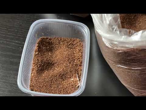 Видео: Сибирские семена Табака 