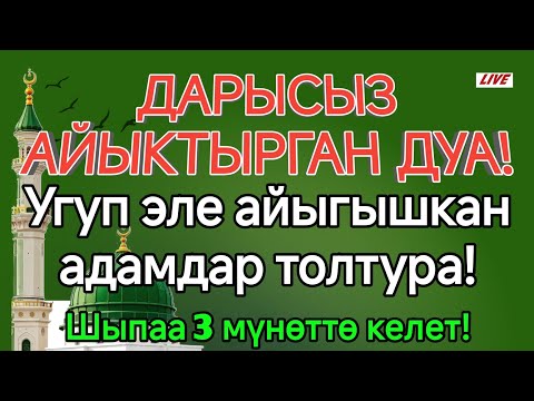 Видео: ДАРЫСЫЗ АЙЫКТЫРГАН ДУА !✨Угуп эле айыгышкан адамдар толтура !🍃