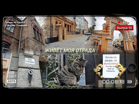 Видео: Выпуск 55 Живёт моя Отрада