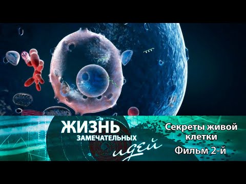 Видео: Жизнь замечательных идей "Секреты живой клетки" - Фильм 2-й @SMOTRIM_KULTURA