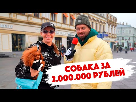 Видео: Сколько стоит шмот? Собака за 2.000.000 рублей! Аннэтэс Рудман. Журнал "n Style". Дымоход.