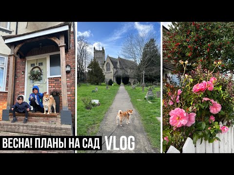 Видео: ВЕСНА ПРИШЛА! 🌺 ПОРА ЗАНЯТЬСЯ УЧАСТКОМ 🌳