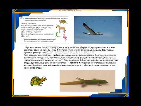 Видео: 2- сынып Жаратылыстану  7-  сабақ