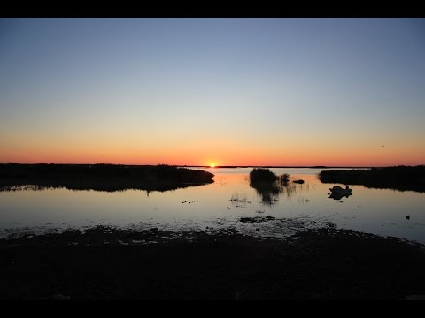 Видео: Ба Цзы 1, часть 2.  Сила Элемента Личности. Комбинации. Наказания. Повреждения. Столкновения