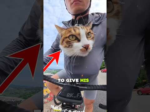 Видео: #до свидания