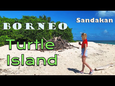 Видео: Малайзия, Борнео, Сандакан, The Elopura Hotel, Turtle Islands National Park, Borneo, Sabah, Sandakan