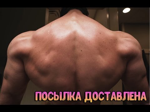 Видео: Посылка доставлена | Дэвид Лейд