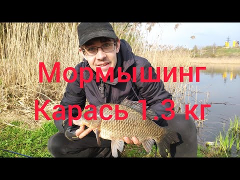 Видео: Рыбалка. Мормышинг. Трофейный карась на 1.3 кг. Ловля карася и окуня.2021