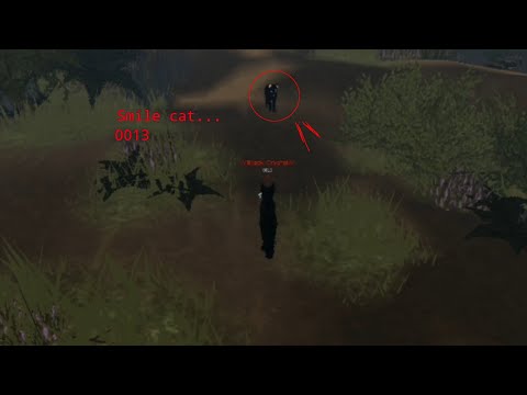 Видео: ВТОРОЙ СПОСОБ ВЫЗВАТЬ SMILE CAT 0013!ОЧЕНЬ жуткий NPC в WCUE! Black Crystal 🌕🐾
