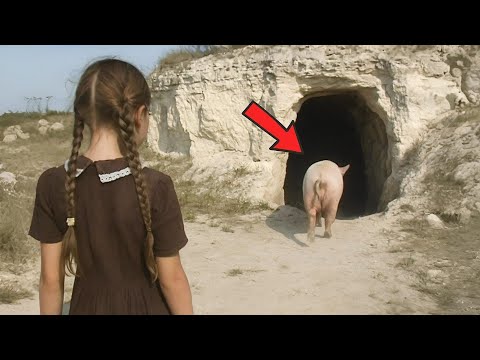 Видео: СВИНЬЯ КАЖДОЕ УТРО УХОДИЛА В ЛЕС . То, что обнаружила дочь фермера ШОКИРОВАЛО ВСЕХ!