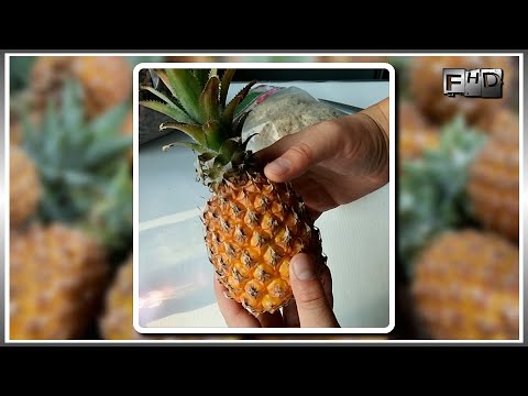 Видео: Как вырастить ананас в домашних условиях (часть 1)