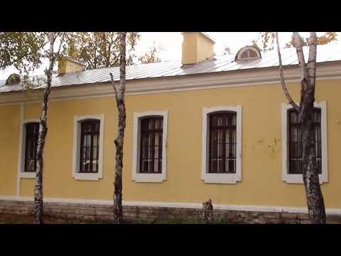 Видео: Золотой (ПВУРЭ)