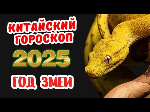 Видео: Китайский гороскоп на 2025 год по году рождения