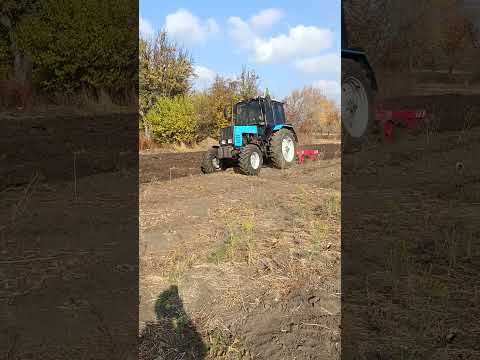 Видео: МТЗ 892 это мощь!!!💪🚜#мтз892